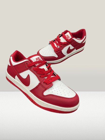 Nike Dunk Low Panda shoes for men and women